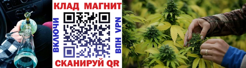  Cocaine Вологда