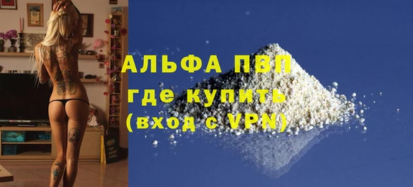мдпв Новозыбков