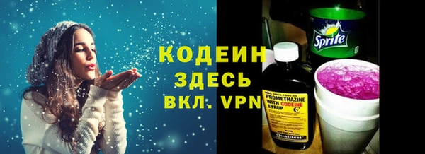 мдпв Новозыбков