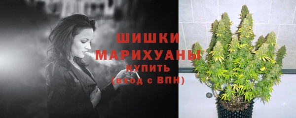мдпв Новозыбков