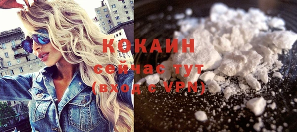 мдпв Новозыбков