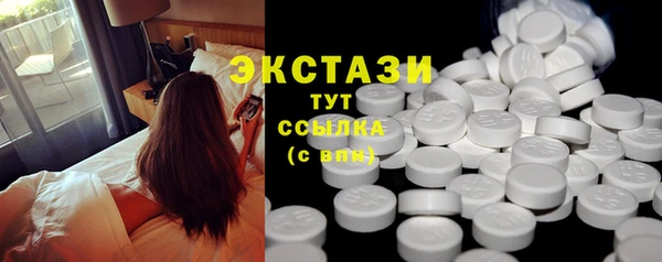 мдпв Новозыбков