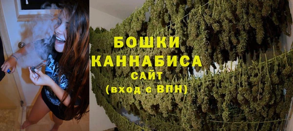 мдпв Новозыбков