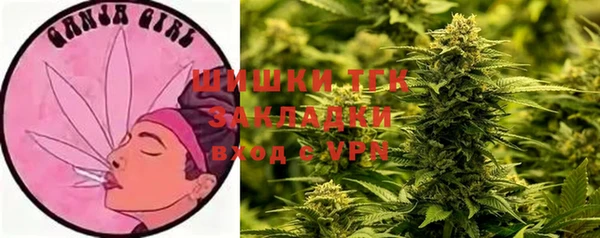 мдпв Новозыбков