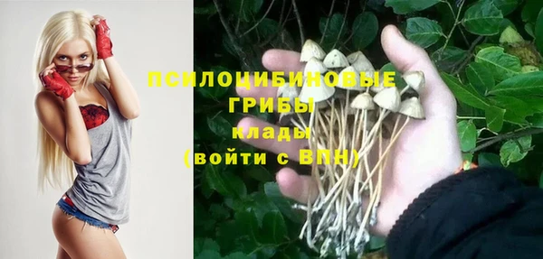 мдпв Новозыбков