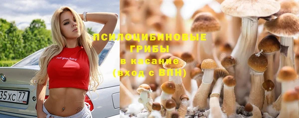 каннабис Новокубанск