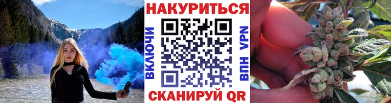 где купить наркоту  Вологда  МЕГА   Канабис индика 
